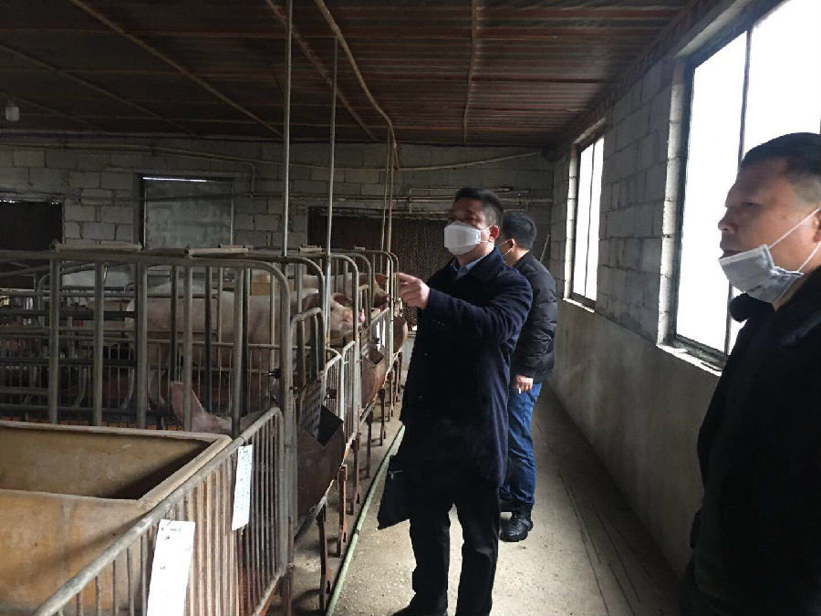 湘阴农商银行钟优钢副行长在静河乡走访养殖大户静河小湖坪牲猪养殖专业合作社
