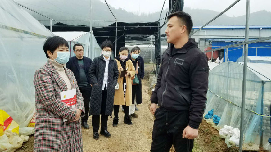 行长龙旋走访峒河山水种养专业合作社.jpg