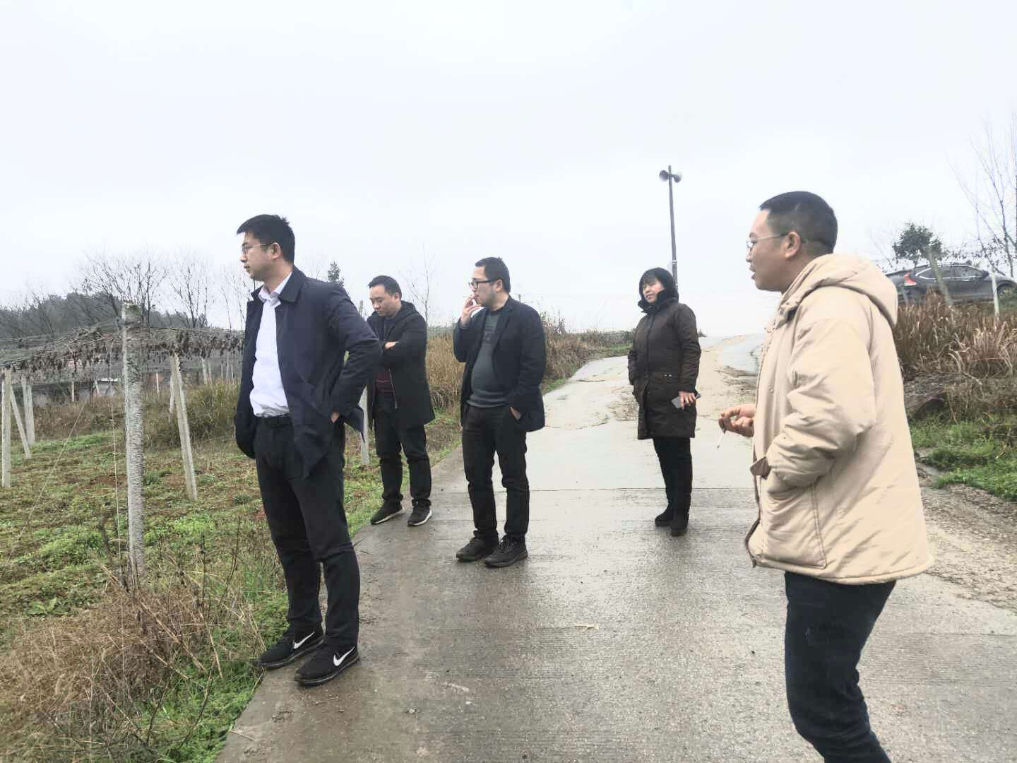 副行长姜洪宇走访民乐镇斗拱村吊瓜、魔芋种植基地.jpg