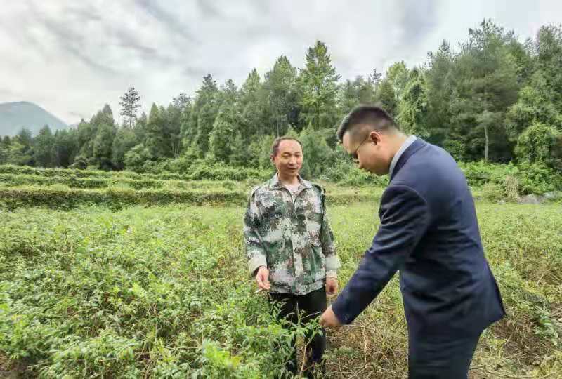 茅岩莓1.jpg