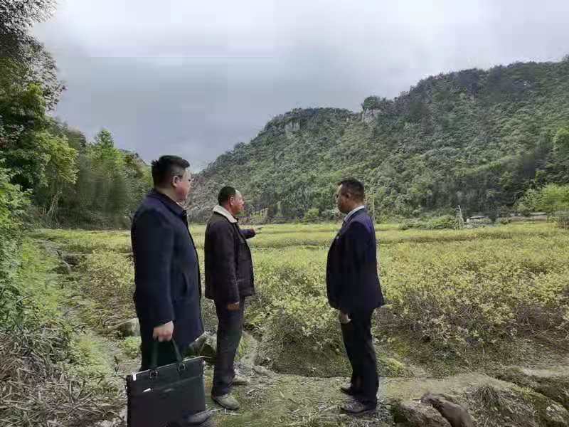 茅岩莓2.jpg