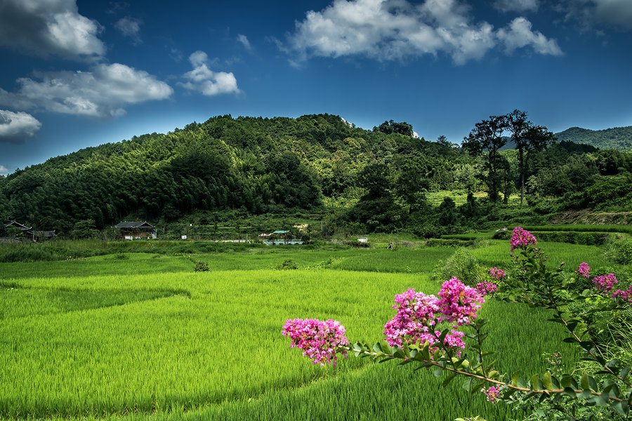 风景照.jpg